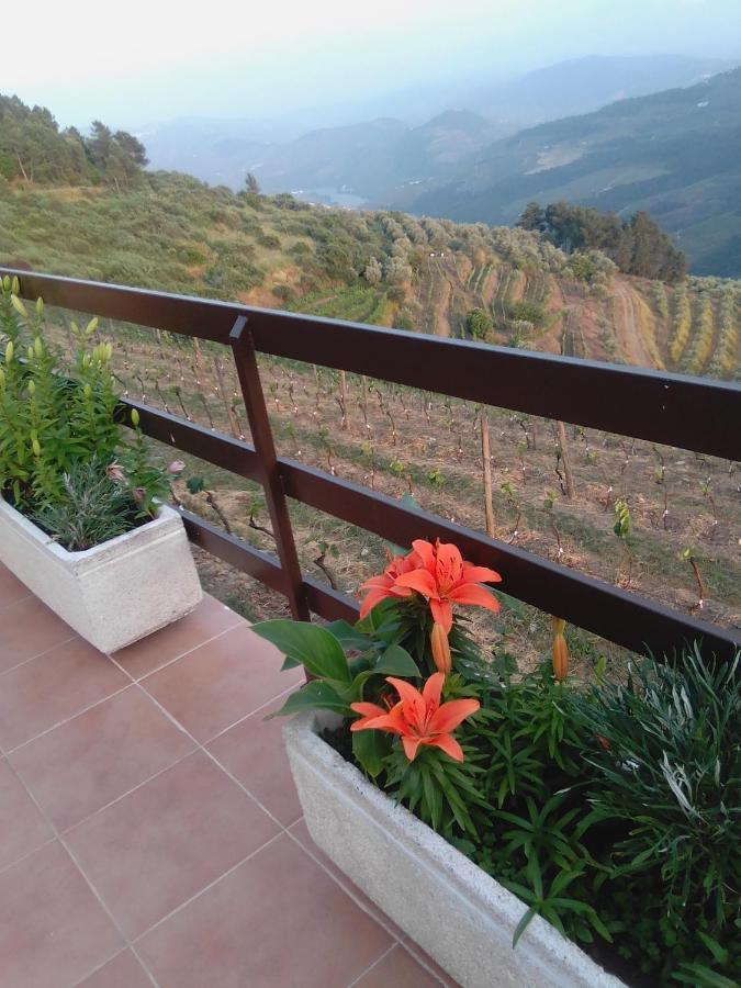 Quinta Pedreira Dos Anjos Hotell Provesende Exteriör bild